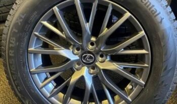 
										2024 Lexus rims Continental Studded Tires full									