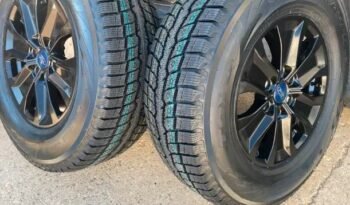 
										Winter – 17″ Ford F-150 2023 Sports Black wheels and Toyo Tires full									