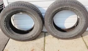 Two Goodyear tires