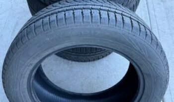 
										Nokian WRG4 all weather tires 225/55R17, very good condition full									