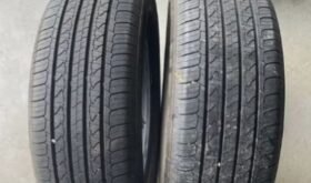 205/60R16 Nexen Npriz AH8 all sessions